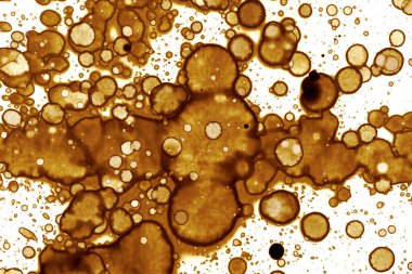 Kahve lekesi dokusu. Soyut noktalar. Psikolojik resimler. Soyut baloncuklar.