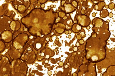 Kahve lekesi dokusu. Soyut noktalar. Psikolojik resimler. Soyut baloncuklar.