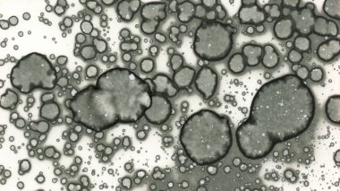 Sanat noktası soyutlaması. Soyut sanatın dokusu ve arkaplanı. Kabarcıklar ve lekeler. Alkolik mürekkep ve suluboya. Modern ve yeni stil