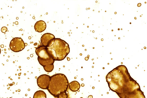 Coffee Stain Texture Abstract Spots Psychological Pictures Abstract Bubbles — Stock Photo, Image