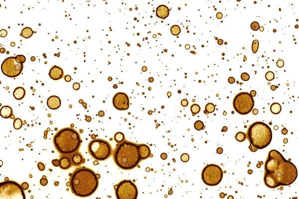 Текстура Пятна Кофе Абстрактные Точки Психологические Фотографии Абстрактные Пузыри — стоковое фото