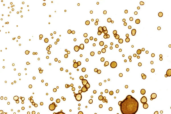 Текстура Пятна Кофе Абстрактные Точки Психологические Фотографии Абстрактные Пузыри — стоковое фото