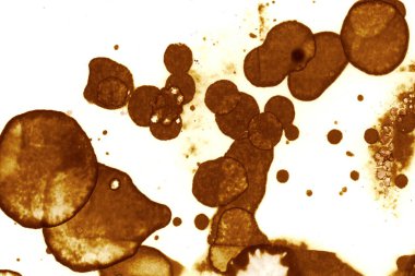 Kahve lekesi dokusu. Soyut noktalar. Psikolojik resimler. Soyut baloncuklar.