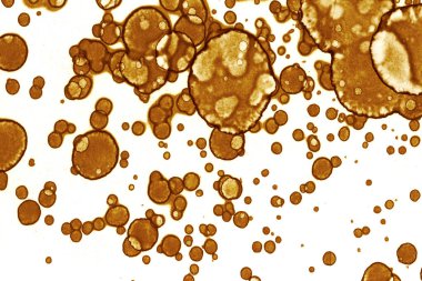 Kahve lekesi dokusu. Soyut noktalar. Psikolojik resimler. Soyut baloncuklar.