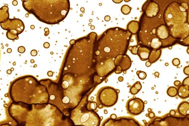 Kahve lekesi dokusu. Soyut noktalar. Psikolojik resimler. Soyut baloncuklar.