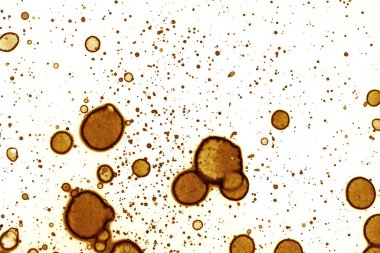 Kahve lekesi dokusu. Soyut noktalar. Psikolojik resimler. Soyut baloncuklar.