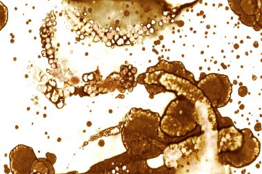 Kahve lekesi dokusu. Soyut noktalar. Psikolojik resimler. Soyut baloncuklar.