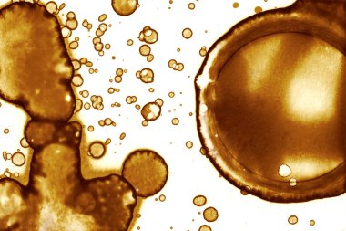 Kahve lekesi dokusu. Soyut noktalar. Psikolojik resimler. Soyut baloncuklar.