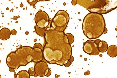 Kahve lekesi dokusu. Soyut noktalar. Psikolojik resimler. Soyut baloncuklar.