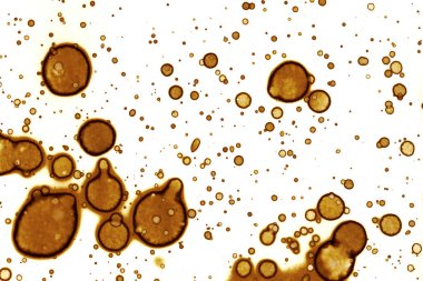 Kahve lekesi dokusu. Soyut noktalar. Psikolojik resimler. Soyut baloncuklar.