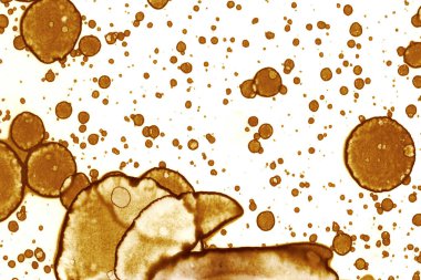 Kahve lekesi dokusu. Soyut noktalar. Psikolojik resimler. Soyut baloncuklar.