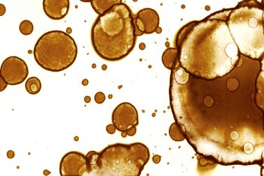 Kahve lekesi dokusu. Soyut noktalar. Psikolojik resimler. Soyut baloncuklar.