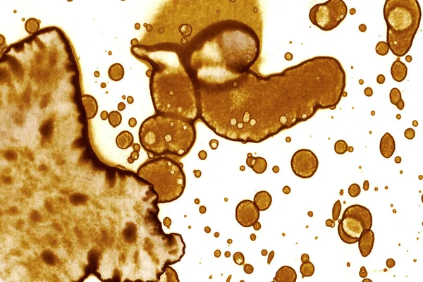 Coffee Stain Texture Abstract Spots Psychological Pictures Abstract Bubbles — Stock Photo, Image