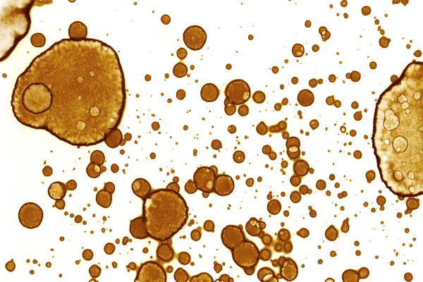 Coffee Stain Texture Abstract Spots Psychological Pictures Abstract Bubbles — Stock Photo, Image