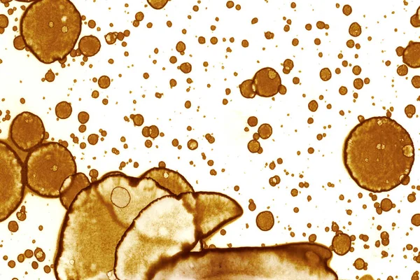 Kahve lekesi dokusu. Soyut noktalar. Psikolojik resimler. Soyut baloncuklar.