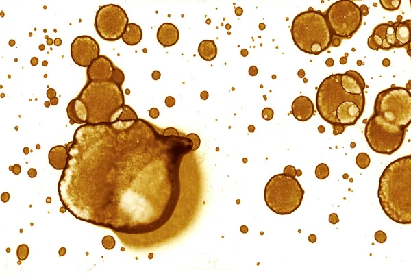 Plamy Kawie Streszczenie Miejsc Zdjęcia Psychologiczne Pęcherzyki Abstrakcyjne — Zdjęcie stockowe