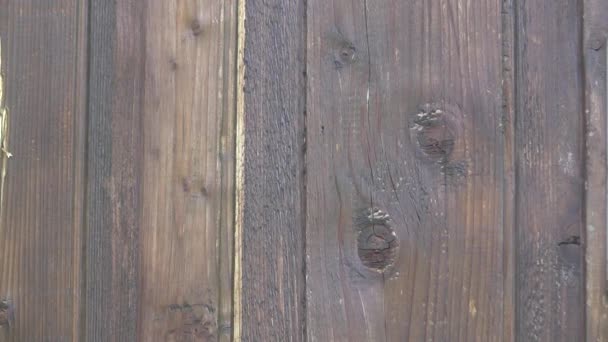 Wyłamanie Drzwi Włamanie Drewniane Drzwi Grabież — Wideo stockowe
