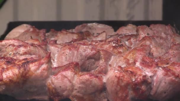 Skewers Skewers Barbecue Grill Barbecue — Stock Video