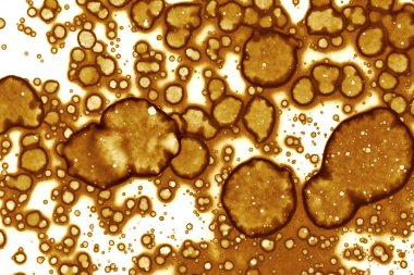 Kahve lekesi dokusu. Soyut noktalar. Psikolojik resimler. Soyut baloncuklar.