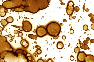 Kahve lekesi dokusu. Soyut noktalar. Psikolojik resimler. Soyut baloncuklar.