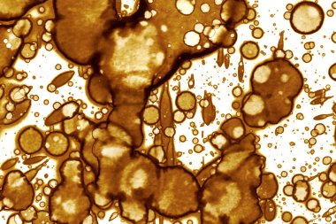 Kahve lekesi dokusu. Soyut noktalar. Psikolojik resimler. Soyut baloncuklar.