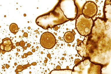 Kahve lekesi dokusu. Soyut noktalar. Psikolojik resimler. Soyut baloncuklar.