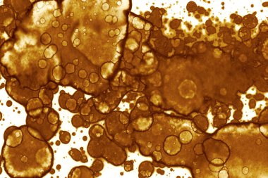 Kahve lekesi dokusu. Soyut noktalar. Psikolojik resimler. Soyut baloncuklar.