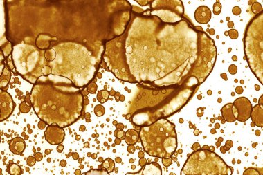 Kahve lekesi dokusu. Soyut noktalar. Psikolojik resimler. Soyut baloncuklar.