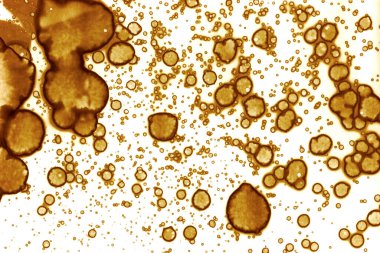 Kahve lekesi dokusu. Soyut noktalar. Psikolojik resimler. Soyut baloncuklar.