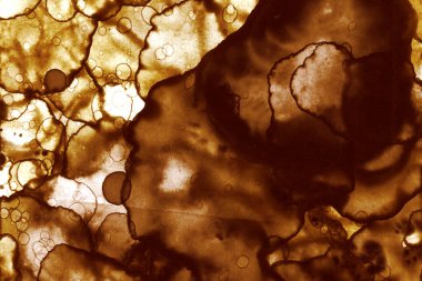 Kahve lekesi dokusu. Soyut noktalar. Psikolojik resimler. Soyut baloncuklar.