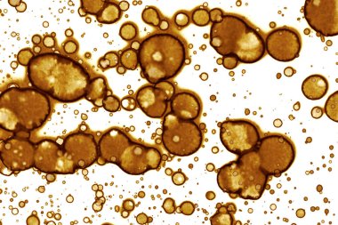 Kahve lekesi dokusu. Soyut noktalar. Psikolojik resimler. Soyut baloncuklar.