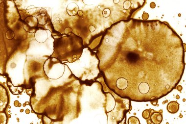 Kahve lekesi dokusu. Soyut noktalar. Psikolojik resimler. Soyut baloncuklar.