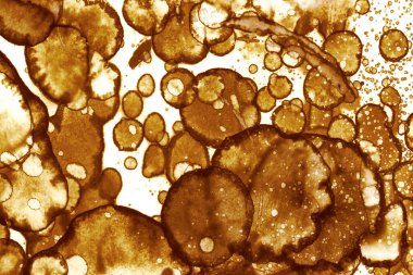 Kahve lekesi dokusu. Soyut noktalar. Psikolojik resimler. Soyut baloncuklar.