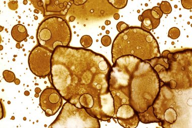 Kahve lekesi dokusu. Soyut noktalar. Psikolojik resimler. Soyut baloncuklar.