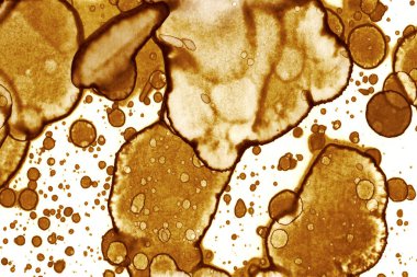 Kahve lekesi dokusu. Soyut noktalar. Psikolojik resimler. Soyut baloncuklar.