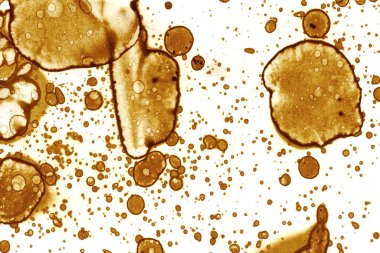 Kahve lekesi dokusu. Soyut noktalar. Psikolojik resimler. Soyut baloncuklar.