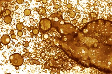 Kahve lekesi dokusu. Soyut noktalar. Psikolojik resimler. Soyut baloncuklar.