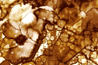 Kahve lekesi dokusu. Soyut noktalar. Psikolojik resimler. Soyut baloncuklar.