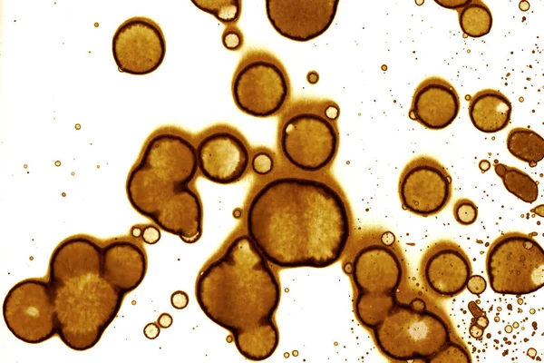 Kahve lekesi dokusu. Soyut noktalar. Psikolojik resimler. Soyut baloncuklar.