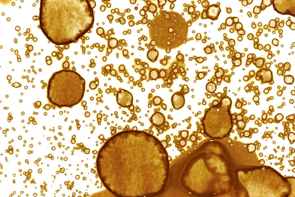 Kahve lekesi dokusu. Soyut noktalar. Psikolojik resimler. Soyut baloncuklar.