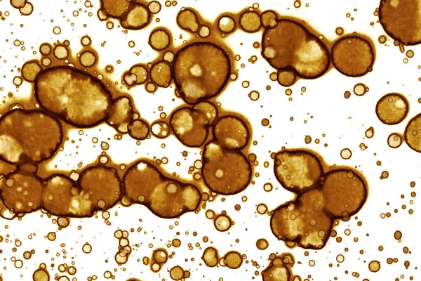 Kahve lekesi dokusu. Soyut noktalar. Psikolojik resimler. Soyut baloncuklar.