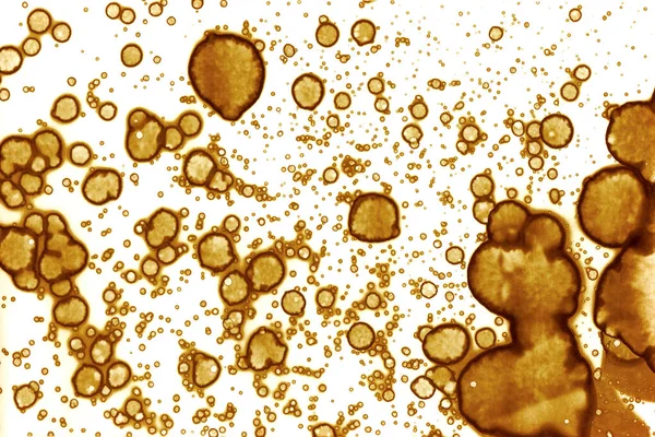 Kahve lekesi dokusu. Soyut noktalar. Psikolojik resimler. Soyut baloncuklar.