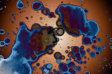 Soyut sanat. Renkli doku ve arka plan. Mürekkep alkolü. Yeni ortam