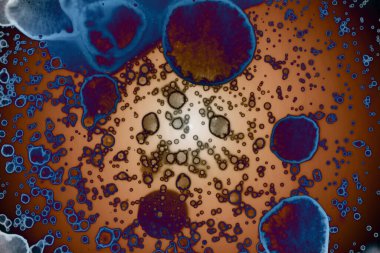 Soyut sanat. Renkli doku ve arka plan. Mürekkep alkolü. Yeni ortam