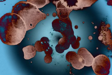 Soyut sanat. Renkli doku ve arka plan. Mürekkep alkolü. Yeni ortam