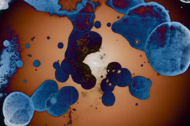 Soyut sanat. Renkli doku ve arka plan. Mürekkep alkolü. Yeni ortam