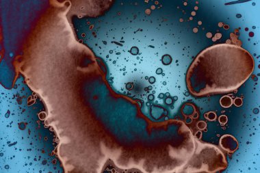 Soyut sanat. Renkli doku ve arka plan. Mürekkep alkolü. Yeni ortam