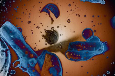 Soyut sanat. Renkli doku ve arka plan. Mürekkep alkolü. Yeni ortam