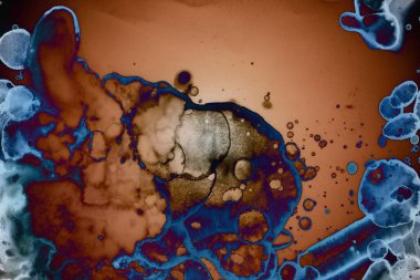 Soyut sanat. Renkli doku ve arka plan. Mürekkep alkolü. Yeni ortam