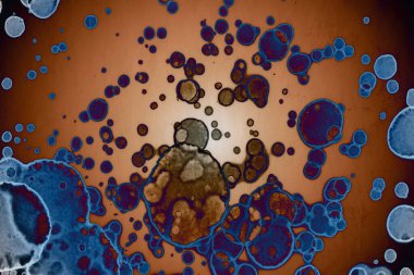 Soyut sanat. Renkli doku ve arka plan. Mürekkep alkolü. Yeni ortam